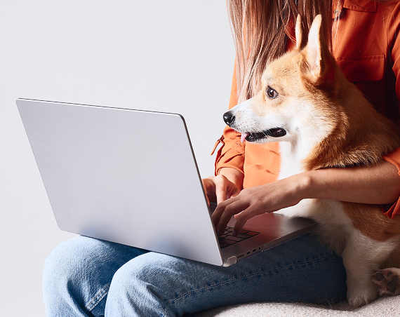 Articles and research