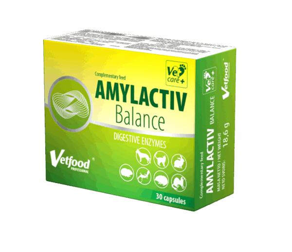 AMYLACTIV Balance