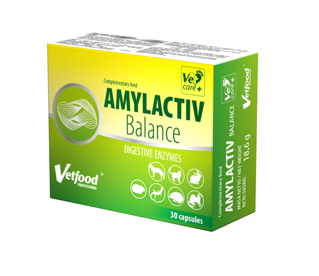 AMYLACTIV Balance