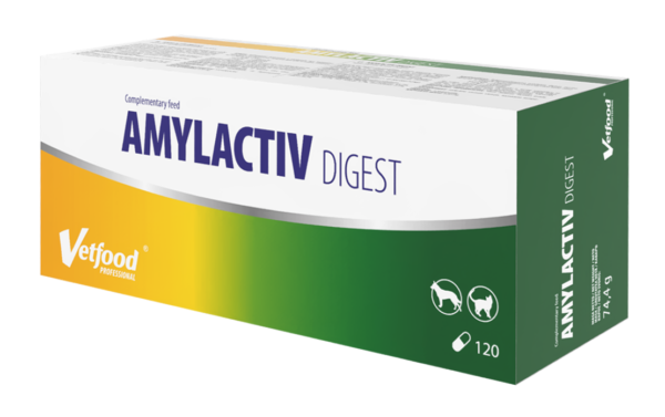 AMYLACTIV DIGEST - obrazek 1