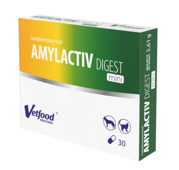AMYLACTIV DIGEST Mini - 30 kaps.