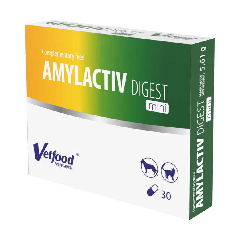 AMYLACTIV DIGEST Mini - 30 kaps.