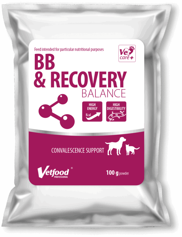 BB&RECOVERY BALANCE