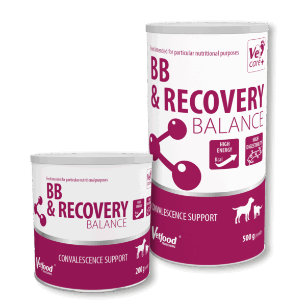BB&RECOVERY BALANCE - obrazek 4