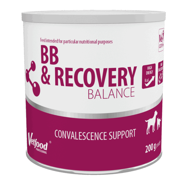 BB&RECOVERY BALANCE - obrazek 3