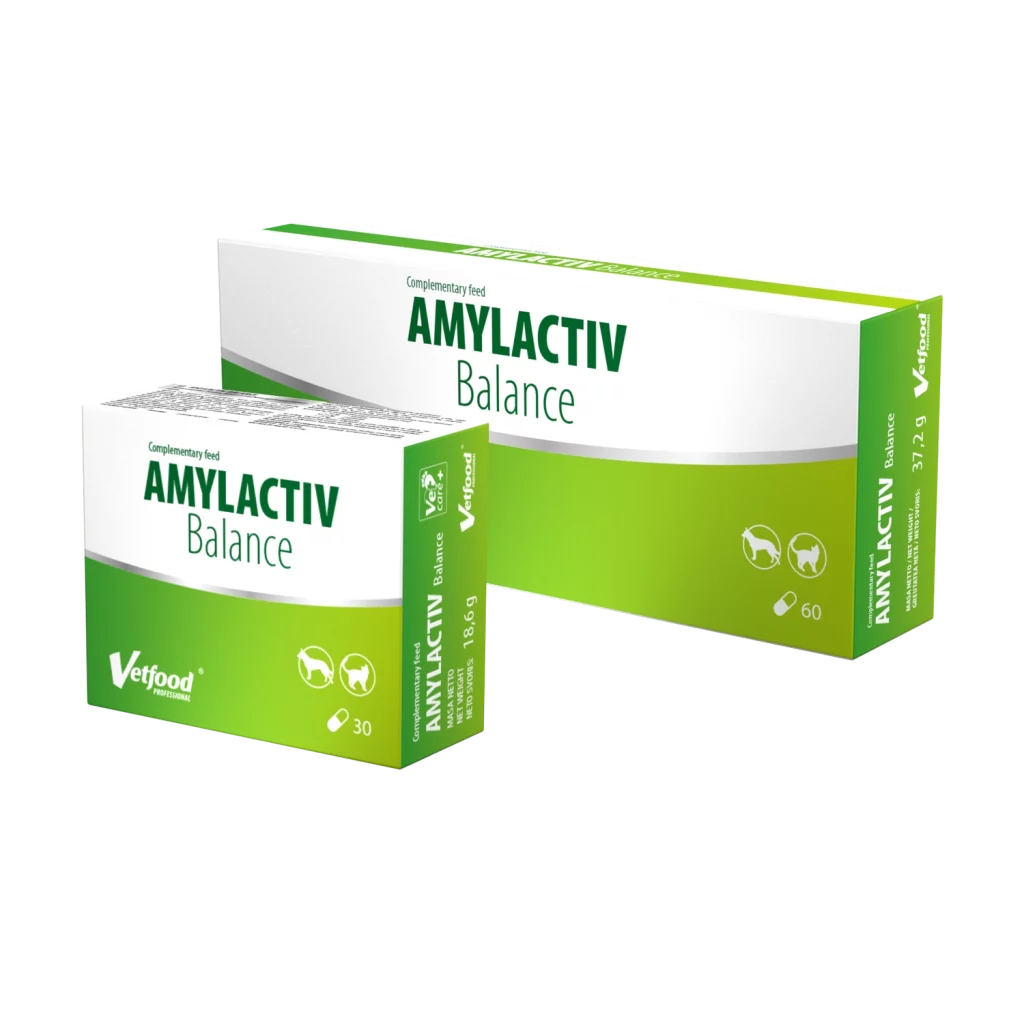 AMYLACTIV Balance