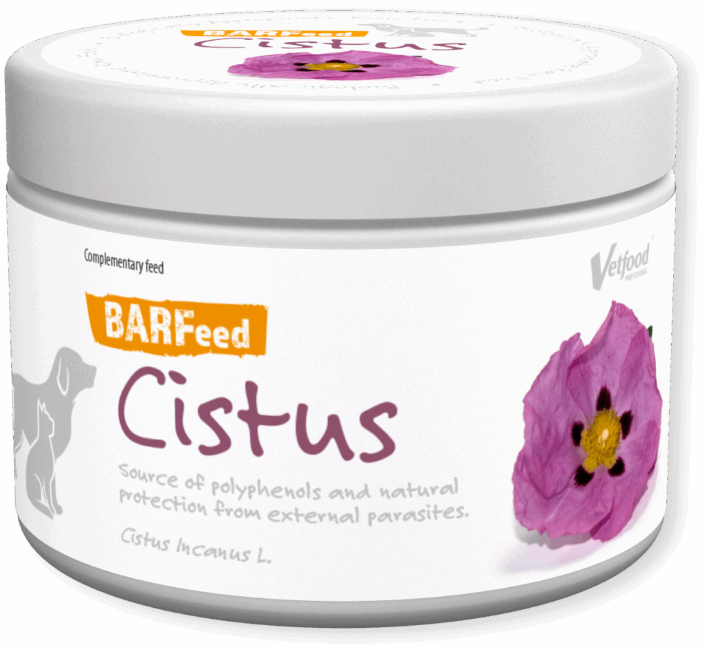 Cistus BARFeed