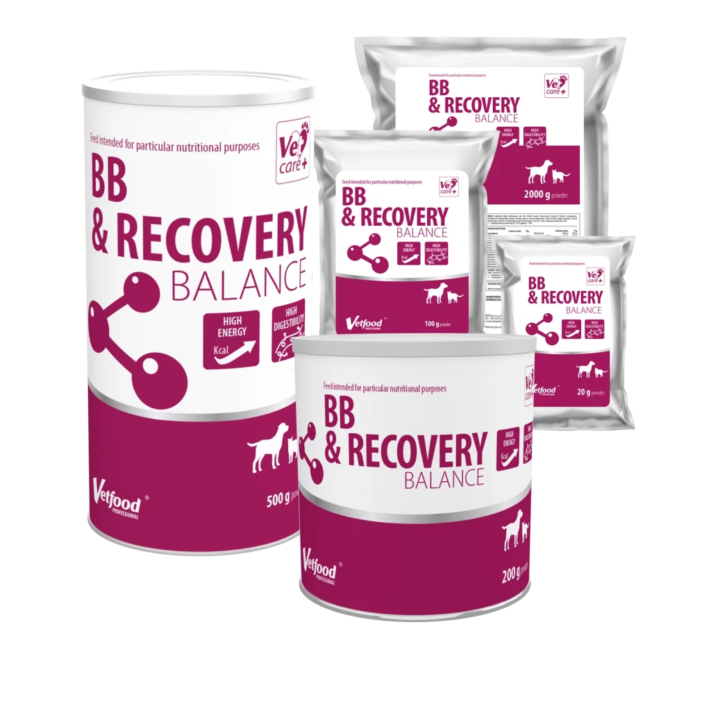 BB&Recovery Balance
