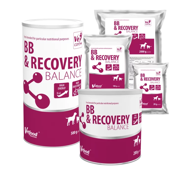 BB&Recovery Balance