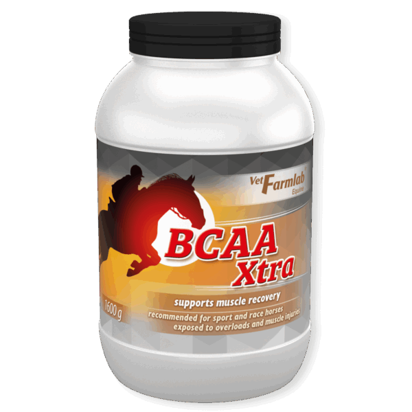 BCAA Xtra