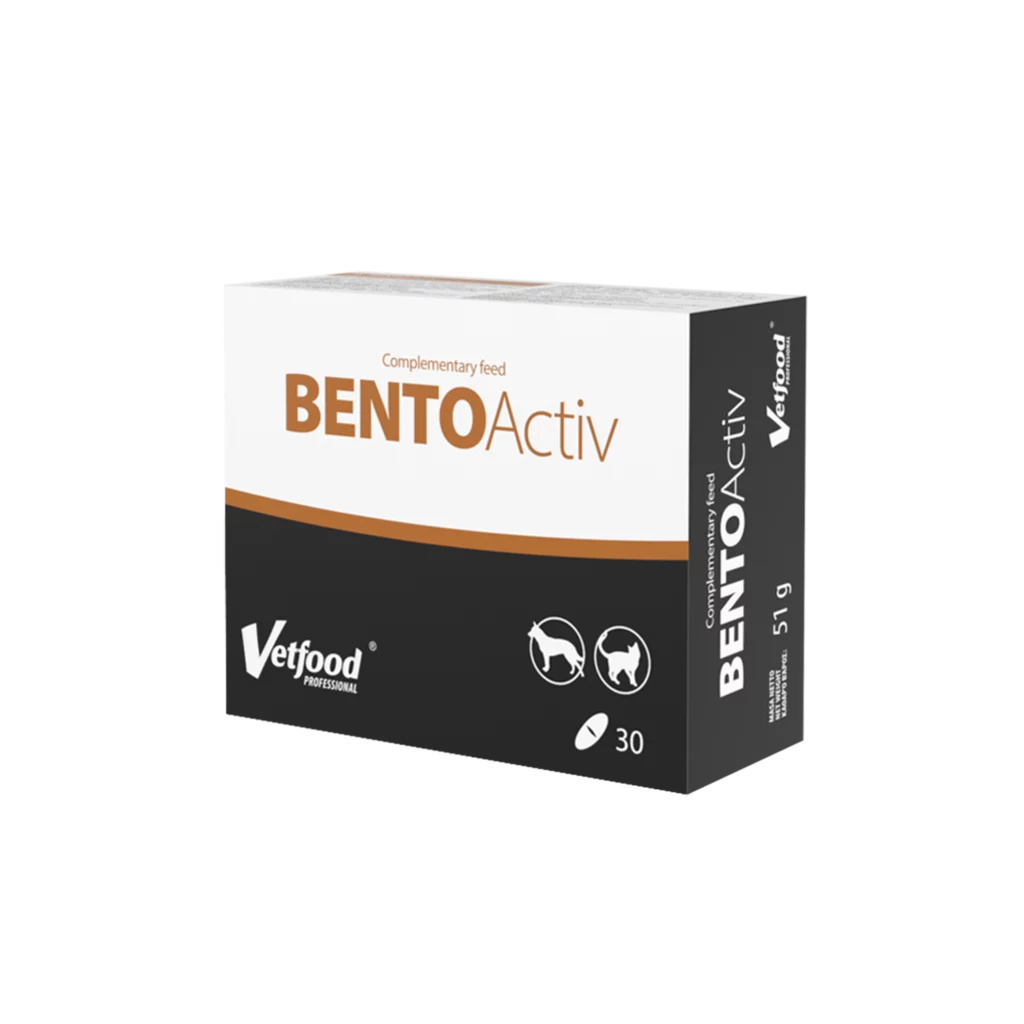 Bento Activ