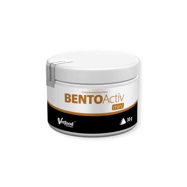 Bento Activ Mini