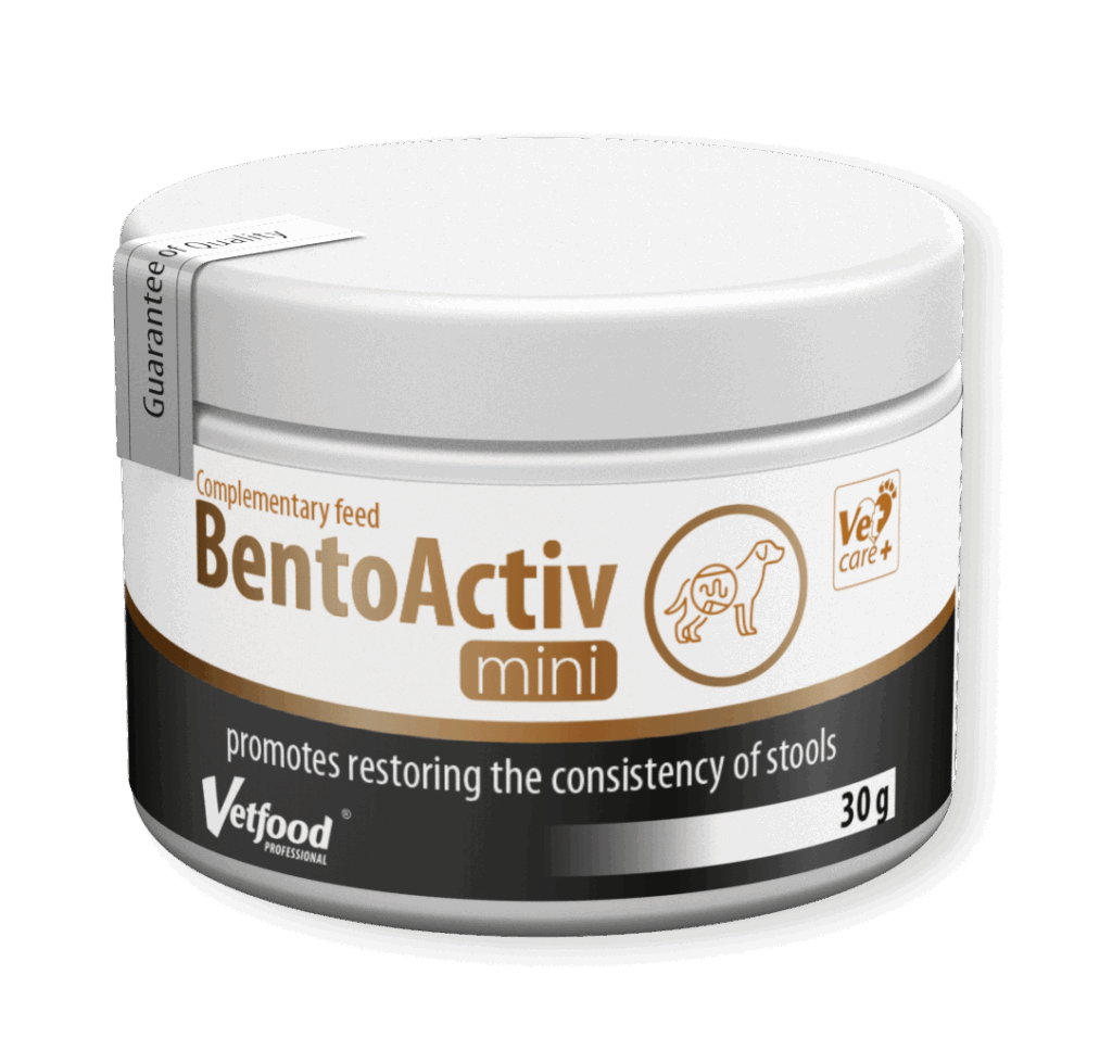 BentoActiv Mini