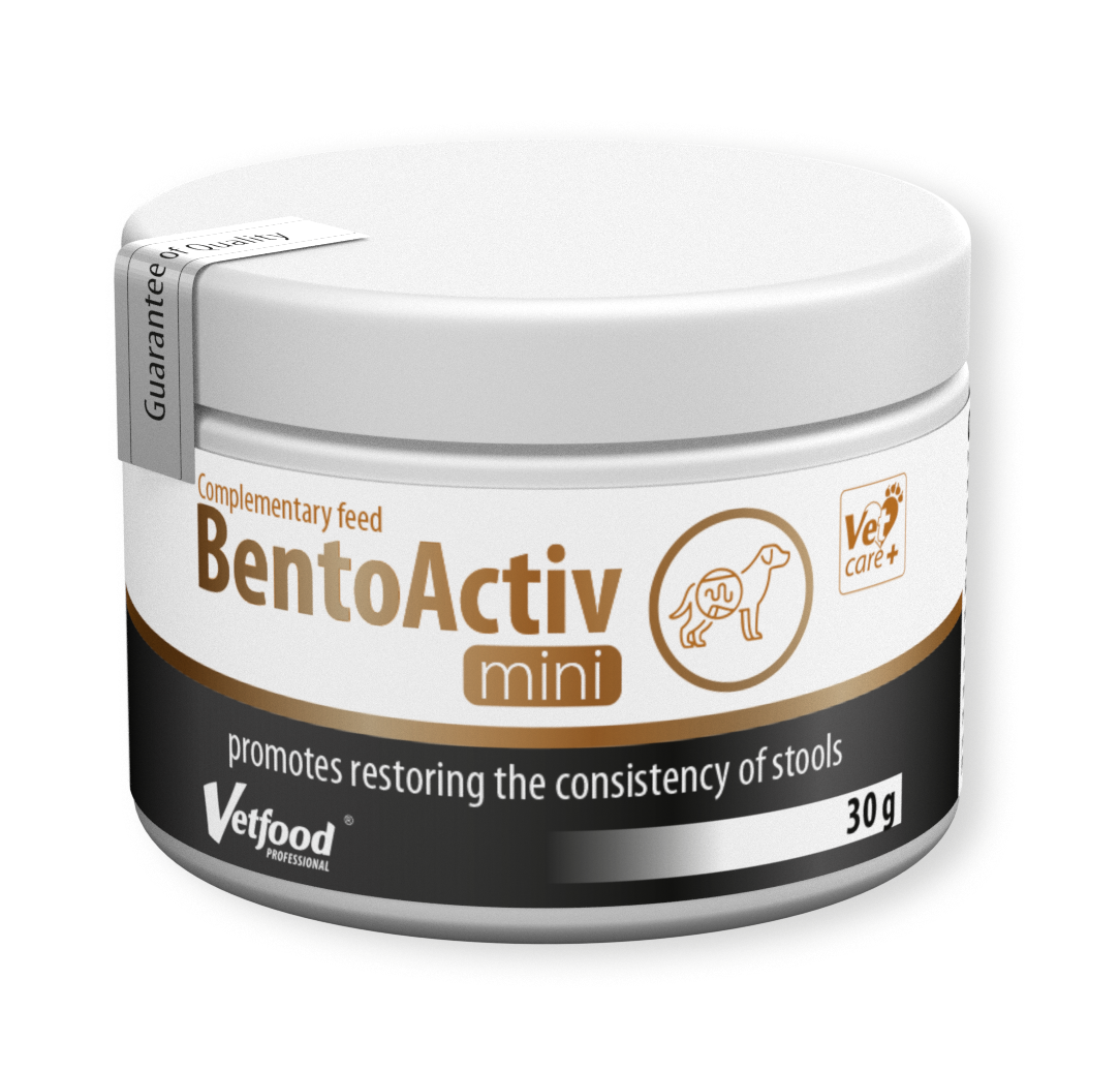 BentoActiv Mini
