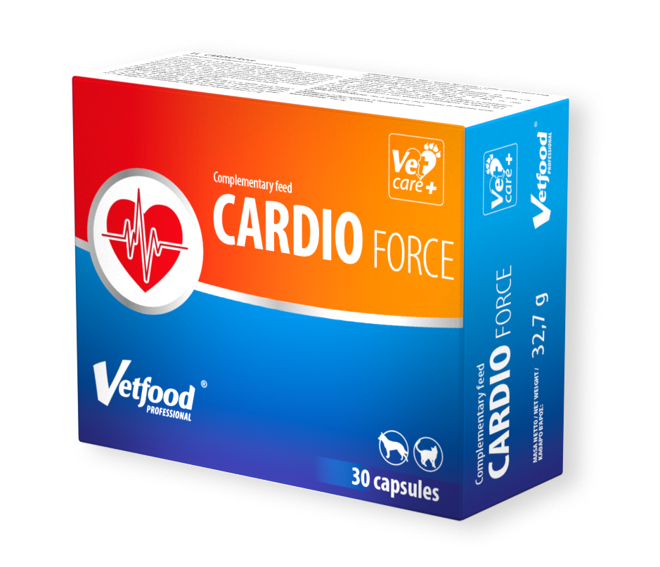 CARDIO FORCE