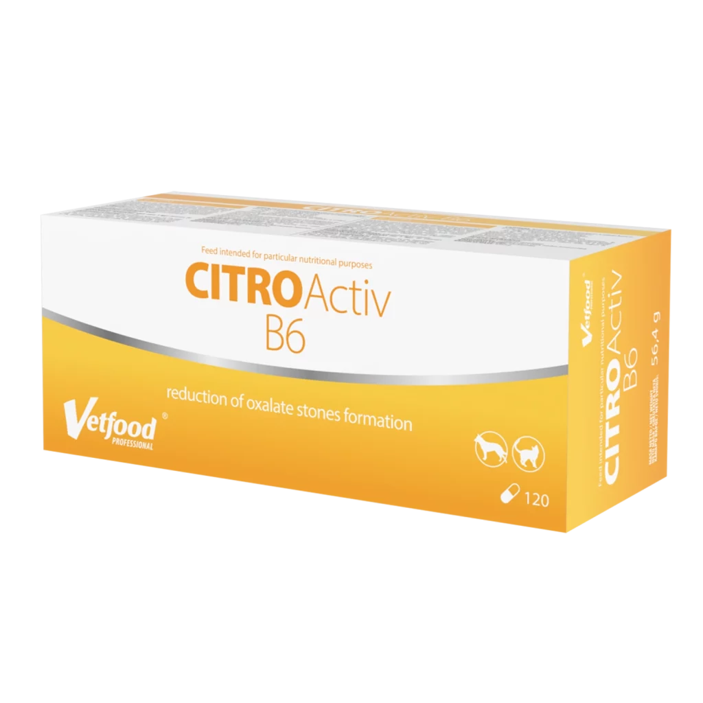Citro Activ B6