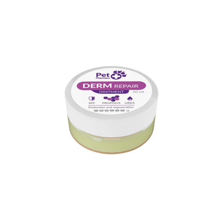 DERM REPAIR