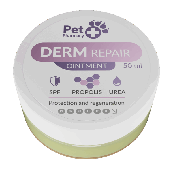 DERM REPAIR
