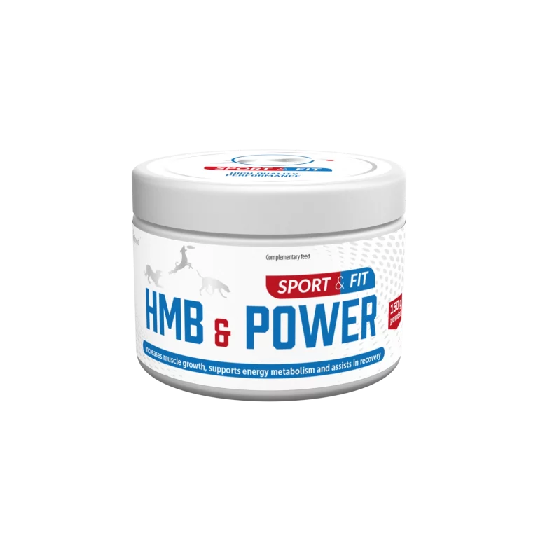 HMB&POWER