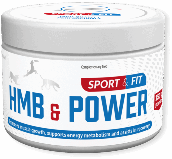 HMB&POWER