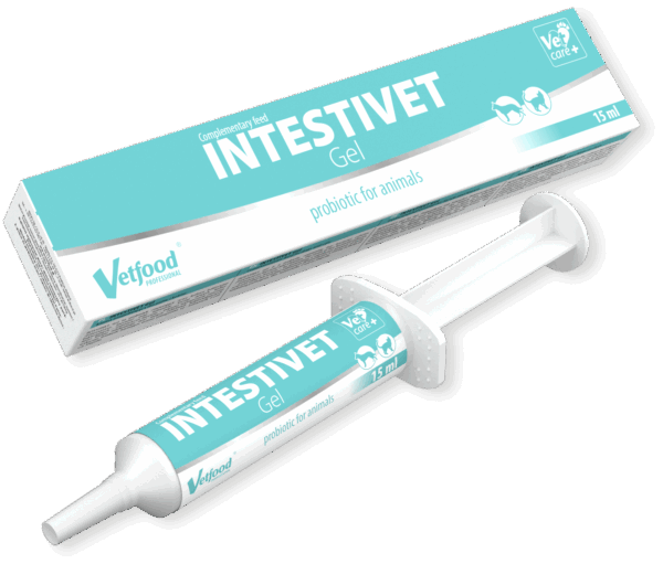 INTESTIVET Gel