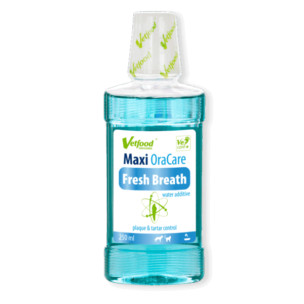 MAXI ORACARE Fresh Breath - obrazek 2
