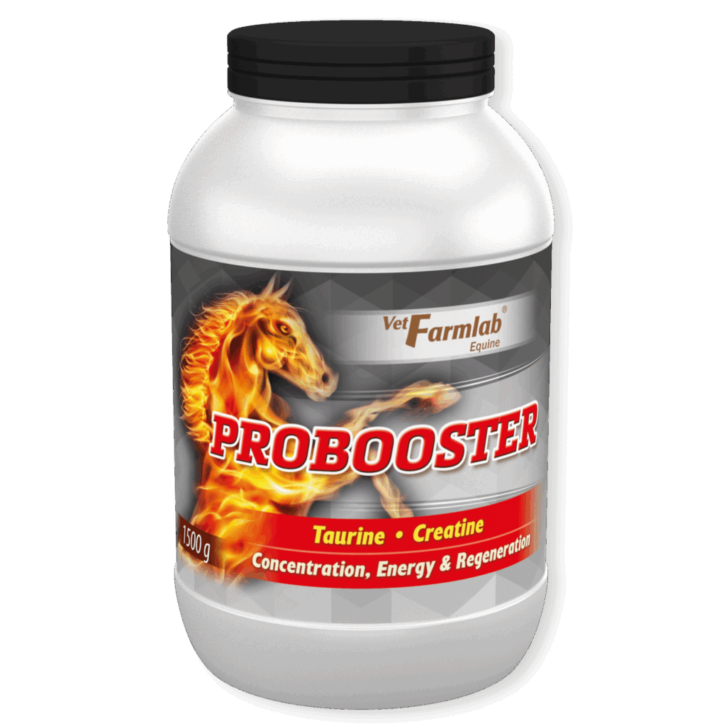 PROBOOSTER