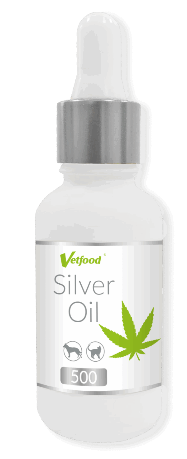 Silver Oil 500