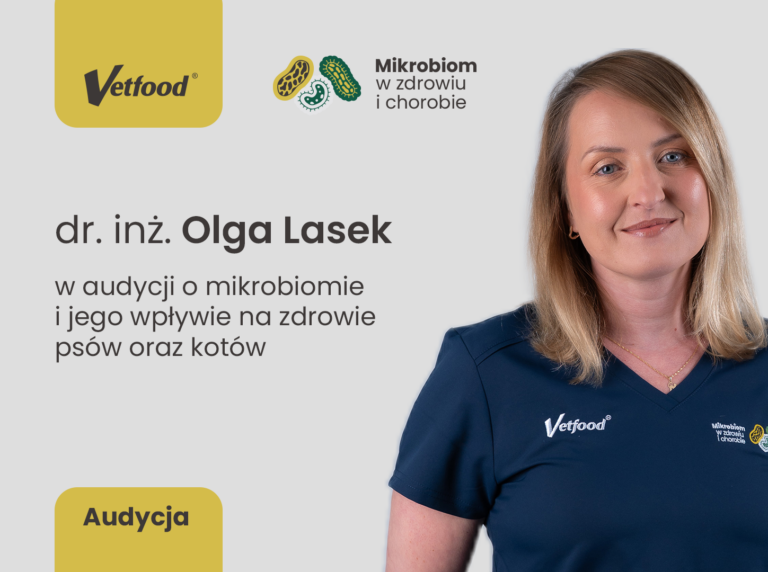 Co łączy dietę, mikrobiom i „drugi mózg”?