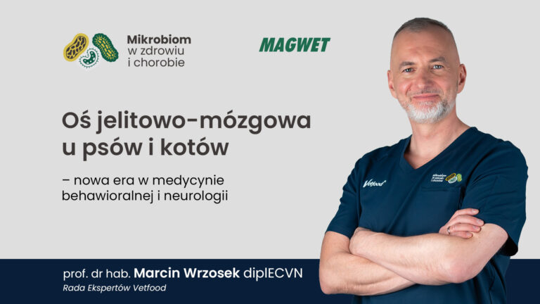 Oś jelitowo-mózgowa u psów i kotów – nowa era w medycynie behawioralnej i neurologii